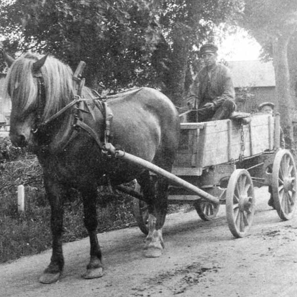 Häst och vagn användes ibland som färdmedel till Farstanäset
