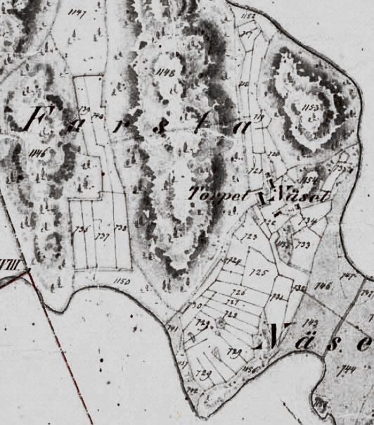 Farstanäsets åker och ängsmarker 1856